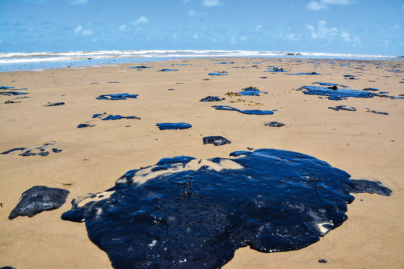 Saiba detalhes sobre as manchas de óleo nas praias do Nordeste!