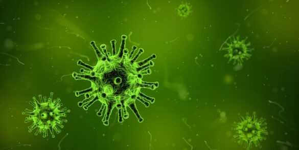 Doenças virais: imagem microscópica ilustrativa de um vírus